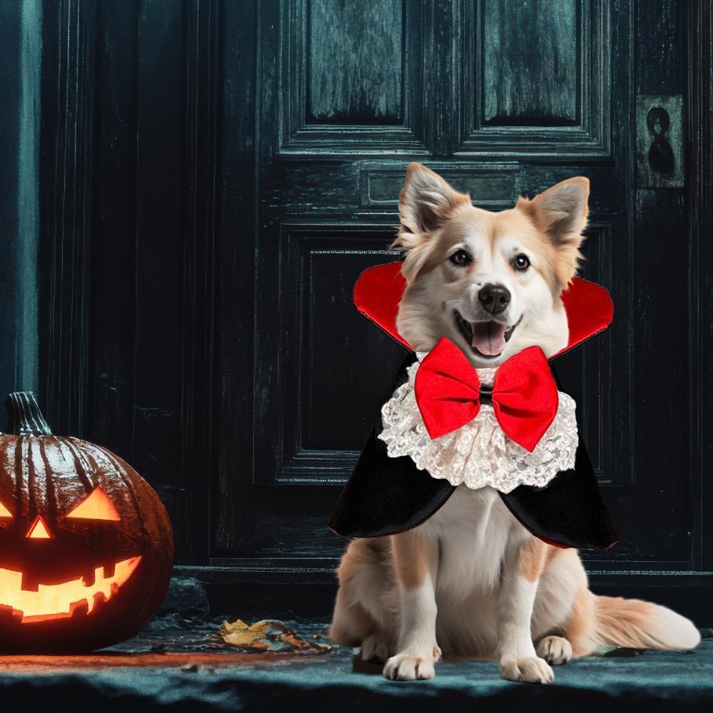Halloween Vampire Costume for Dogs Cats, Spooky Pet Costume Cosplay Cloak Red Black Spooky Trick or Treat Cat Cape
