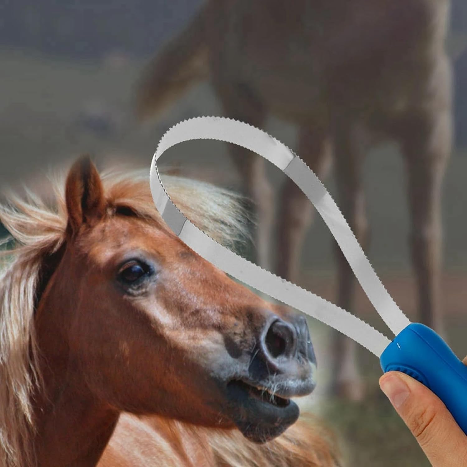 Horse Grooming Comb Equestrian Brush Scraper Nonslip Curry Comb for Animal Cattle All Dogs Types Curry Combo Sweat