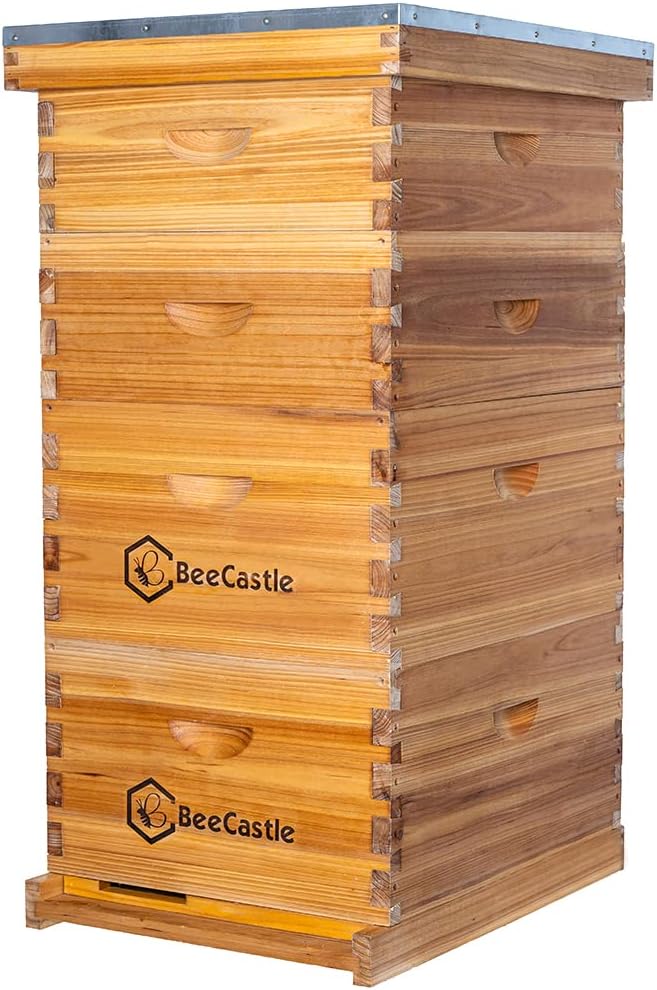 10 Frame Langstroth Bee Hive Coated with 100% Beeswax Includes Beehive Frames and Waxed Foundations (2 Deep Boxes & 2