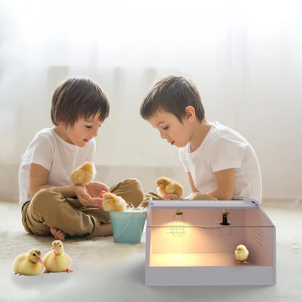 Brooder Box for Chicks