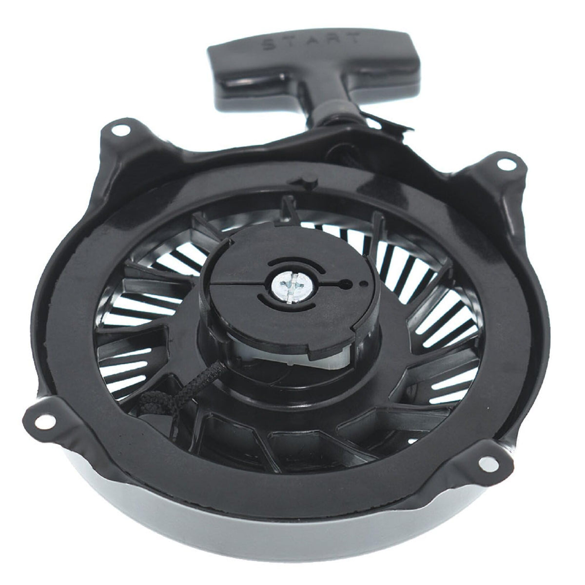 raseparter Recoil Rewind Pull Starter Replacement for 497830