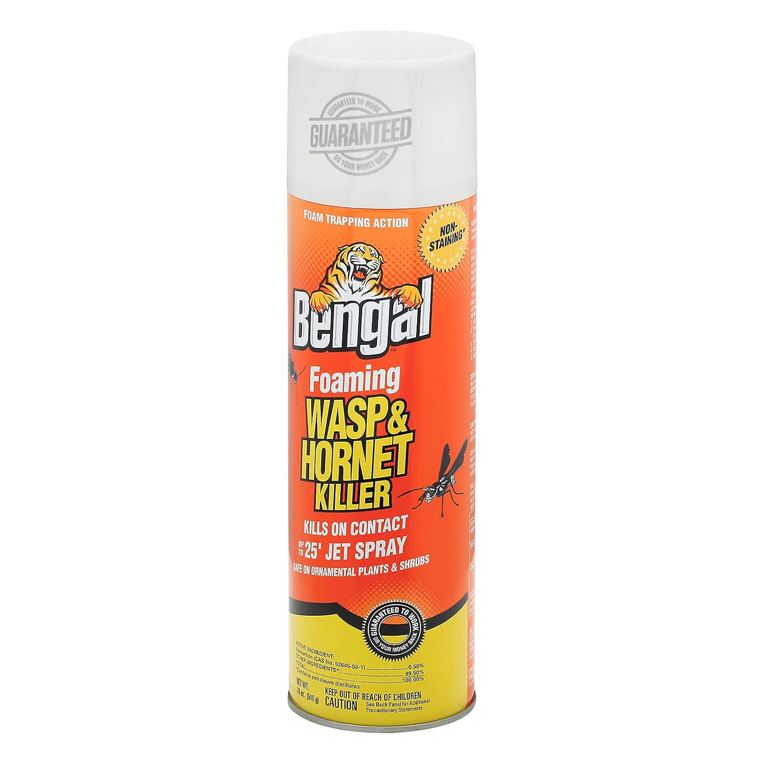 Foaming Wasp and Hornet Killer – Long Range Wasp & Hornet Spray with Foam Trapping Action – Non-Staining Outdoor Long