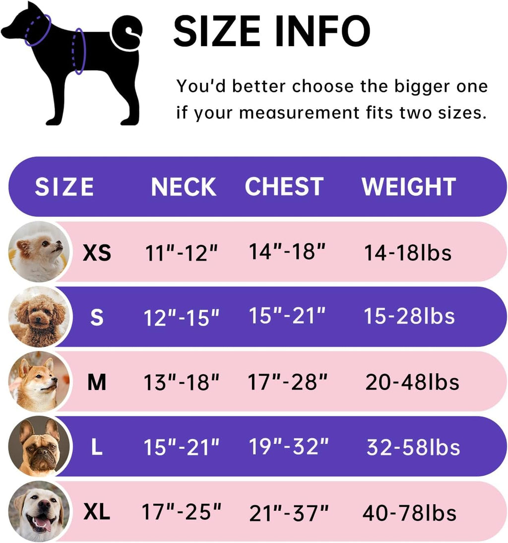 No Pull Dog Harness for Medium Dogs, Dog Vest Harness with Leash, Safety Belt and Storage Strap, Fully Adjustable