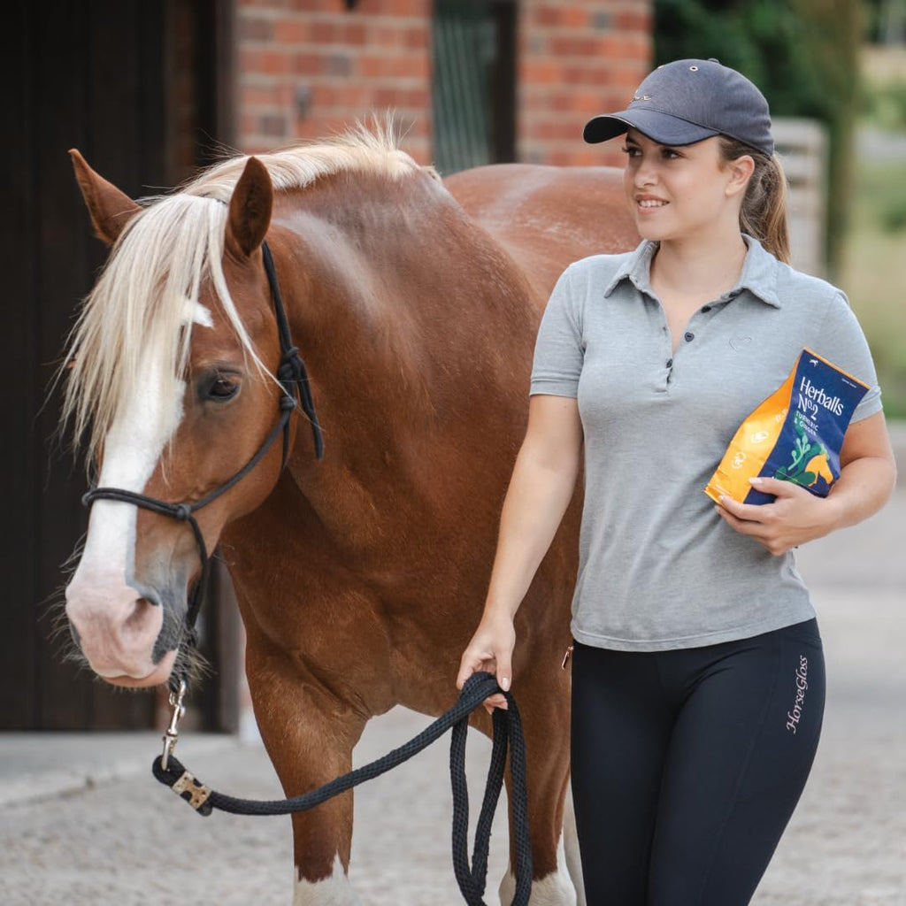 Herballs No.2 - Turmeric & Ginger All-Natural Treats for Horses 2kg (4.4lb) Bag, Equine Supplement