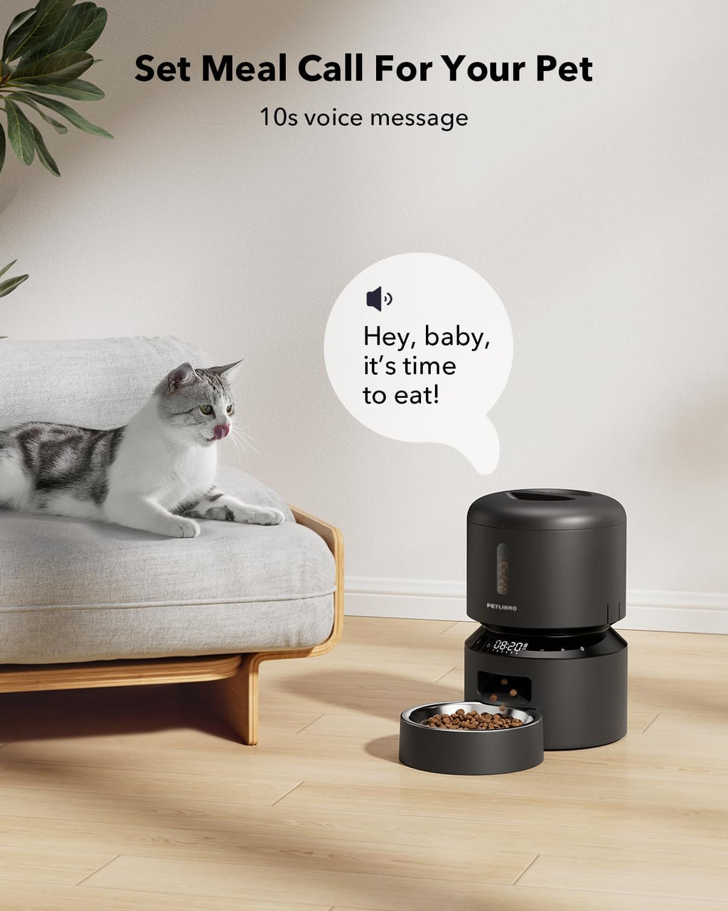 Automatic Cat Feeder, Timed Dry Food Dispenser for Cat & Small Dog