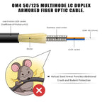 100ft Armored OM4 LC to LC Fiber Patch Cable Multimode Duplex, LSZH Black