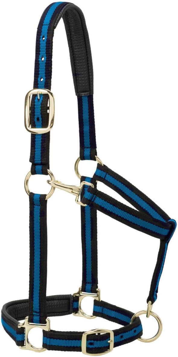 Weaver Leather Nylon Horse Halter, Padded and Adjustable, Chin and Throat Snap Hook Halters for Horses, Brass Plated