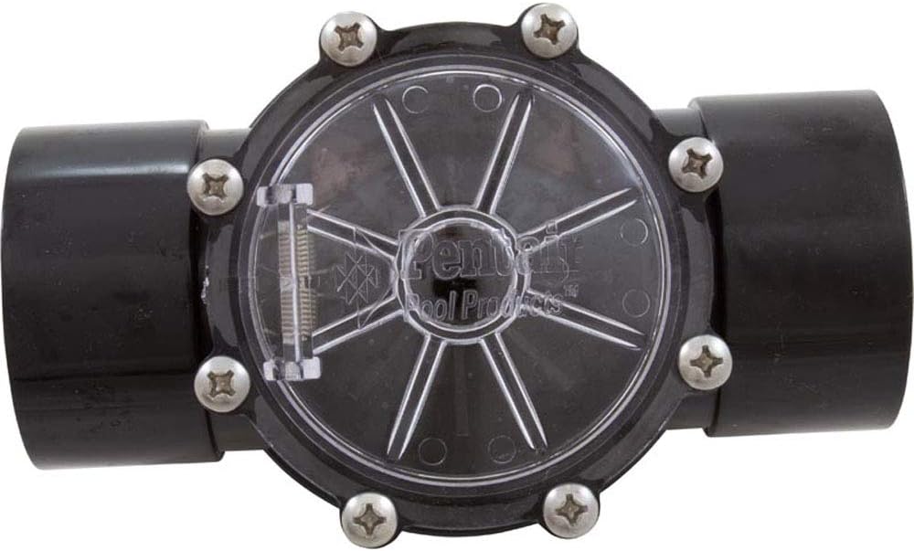 Pentair 263042 Check Valve CPVC for Pool Pumps, 2 Port Straight