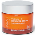 Probiotic + Vitamin C Renewal Cream (1.7 oz)