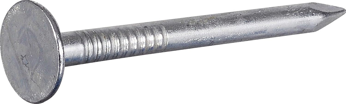 Anchor Wire Electro-Galvanized Roofing Nails for Framing 1" x #11, 100 Pack