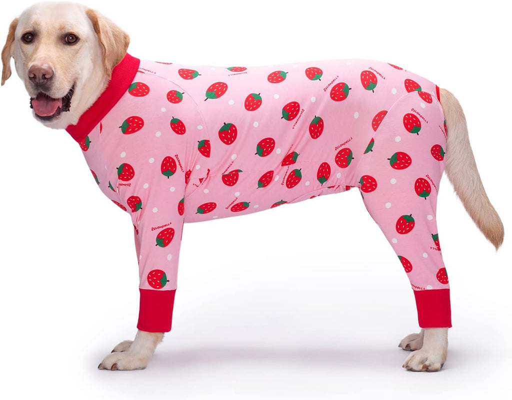 Dog Recovery Suit After Surgery Female Male, Medium Large Dog Neuter Shirt Cone Alternatives Prevent Licking Surgical