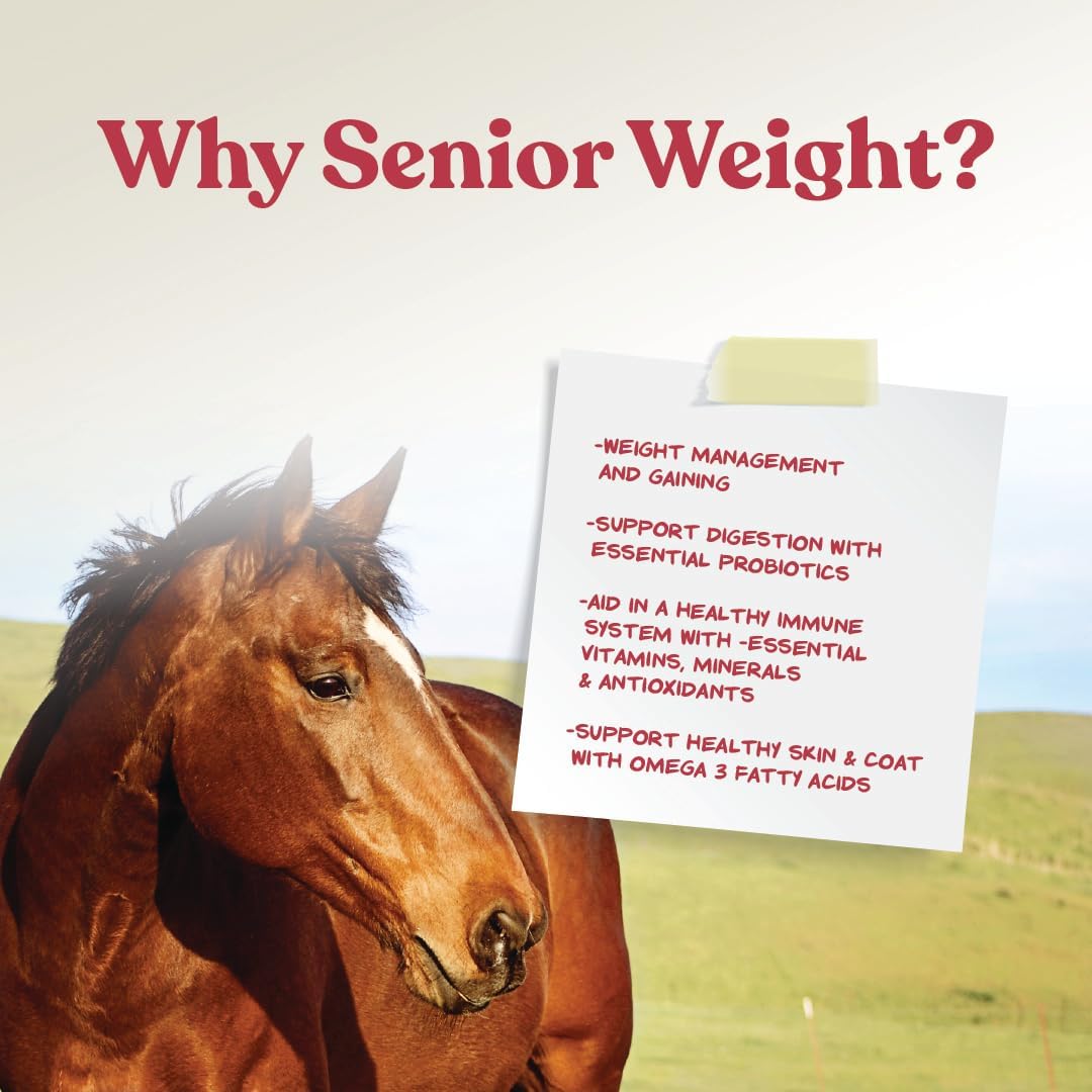 Weight Accelerator Horse Supplement, Meal Topper, Omega-3, 8 lb