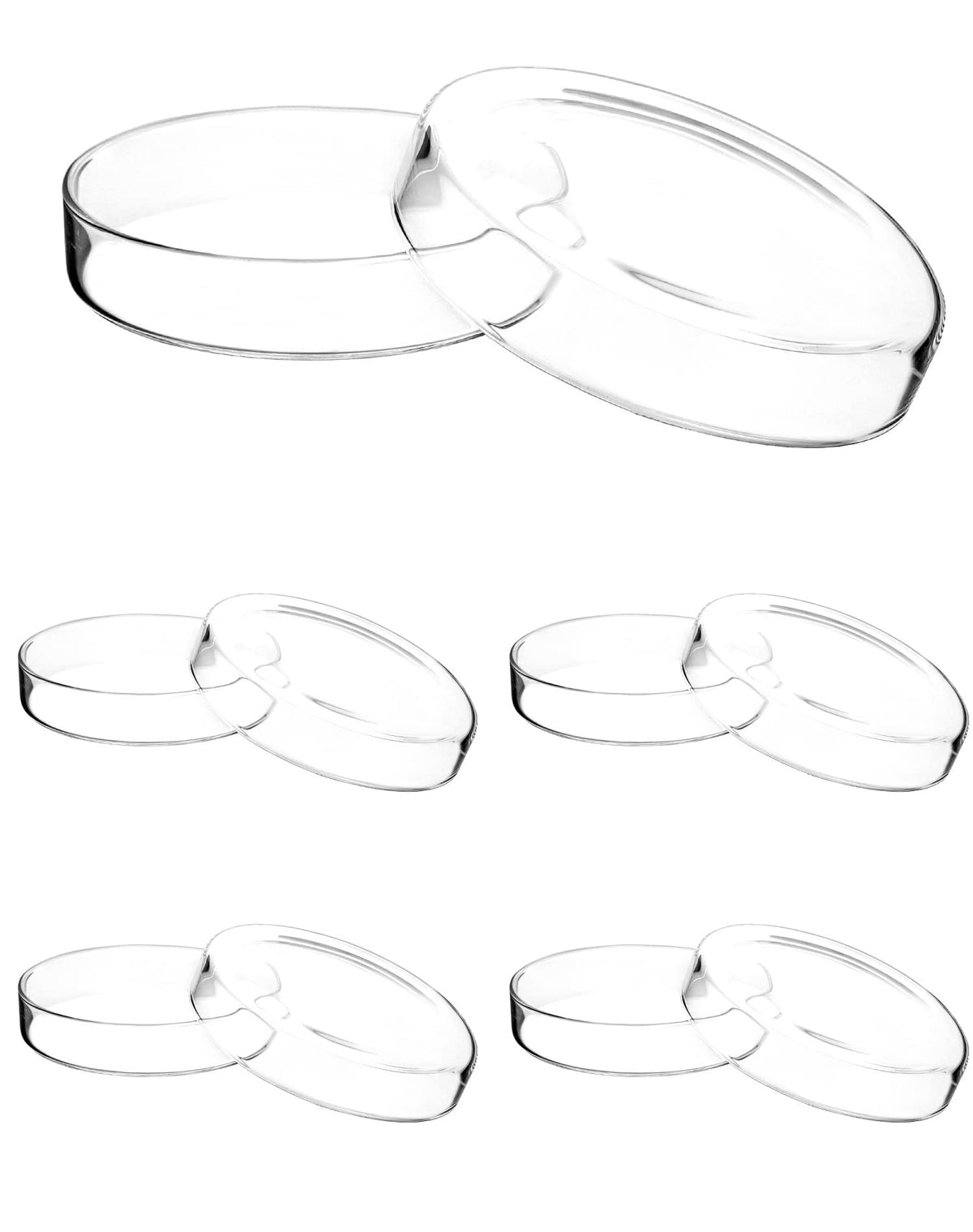 Glass Petri Dishes with Lid, Thicken, 120mm x 26mm, 5 Pack