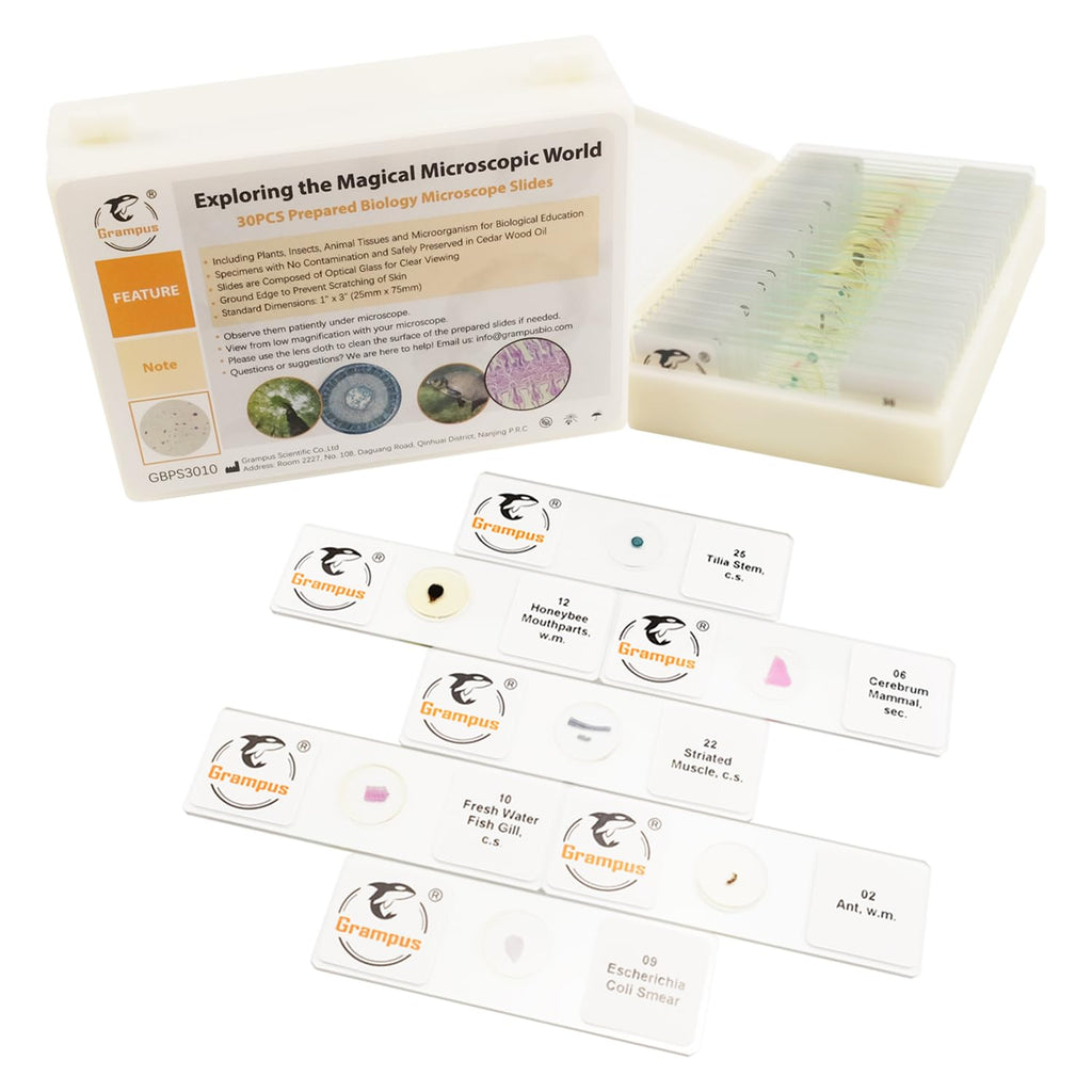 30 Prepared Microscope Slides with Specimens for Kids Students - Animals Plants Insects Microorganism, for Biological