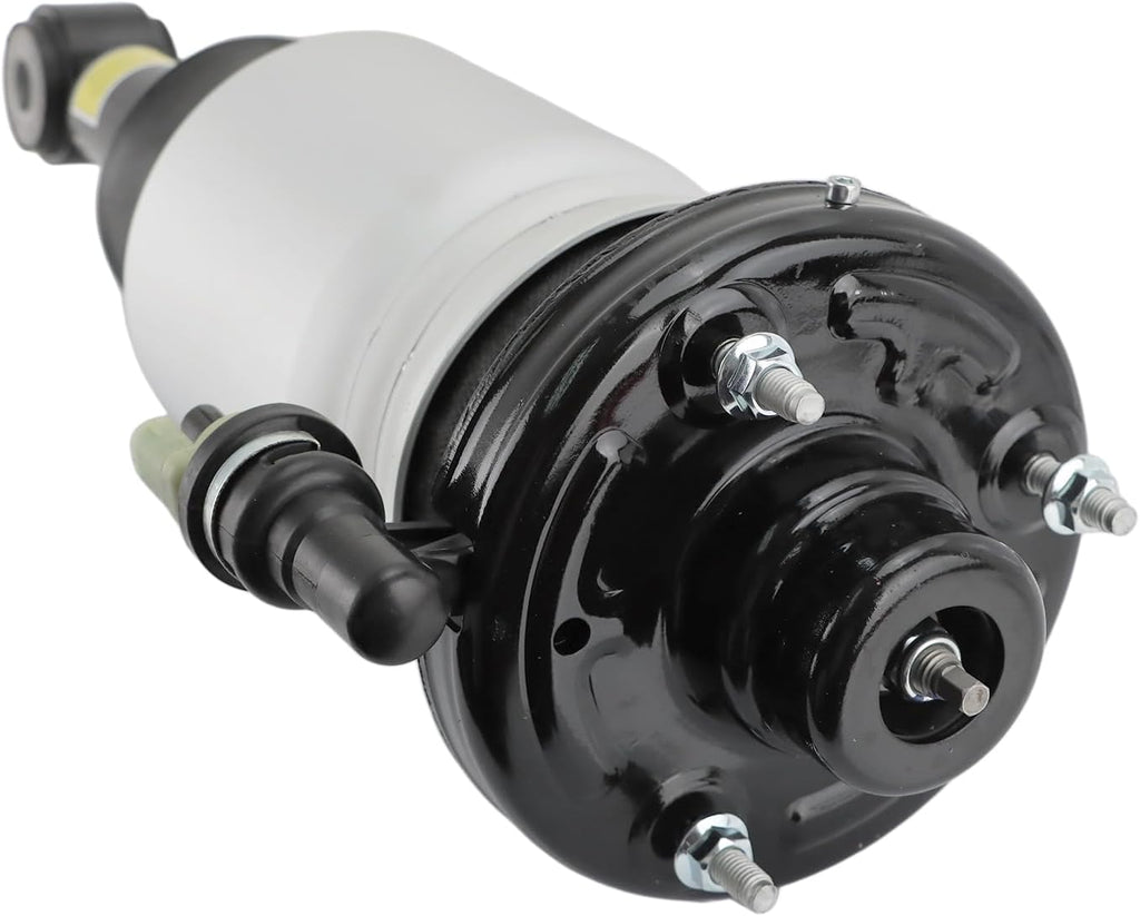 RAYTEN Rear Shock Absorber Set 7L1Z5A891B/8L1Z5A891B