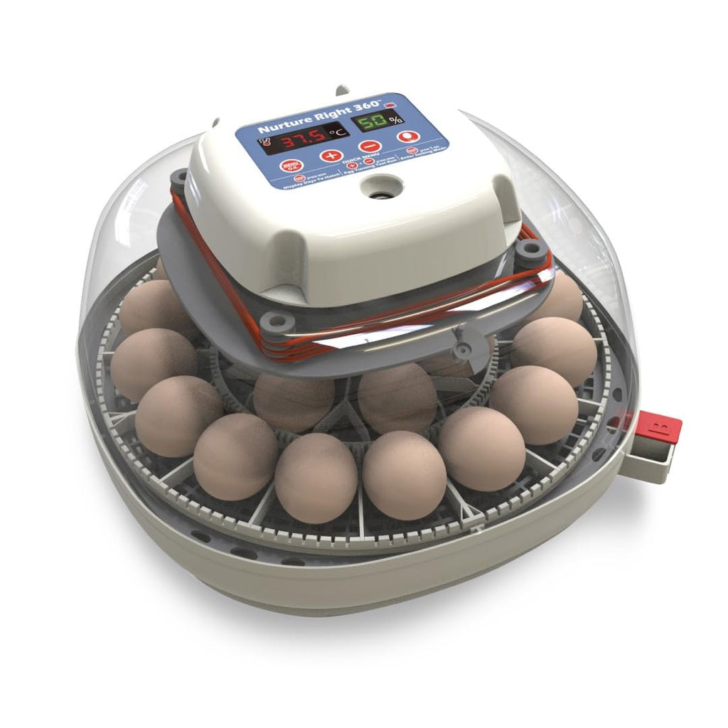 Nurture Right Egg Incubator with Auto Turner, Holds 22 Eggs