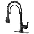 Black Kitchen Faucet with Pull Down Sprayer, Atique Style