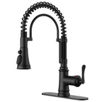 Black Kitchen Faucet with Pull Down Sprayer, Atique Style