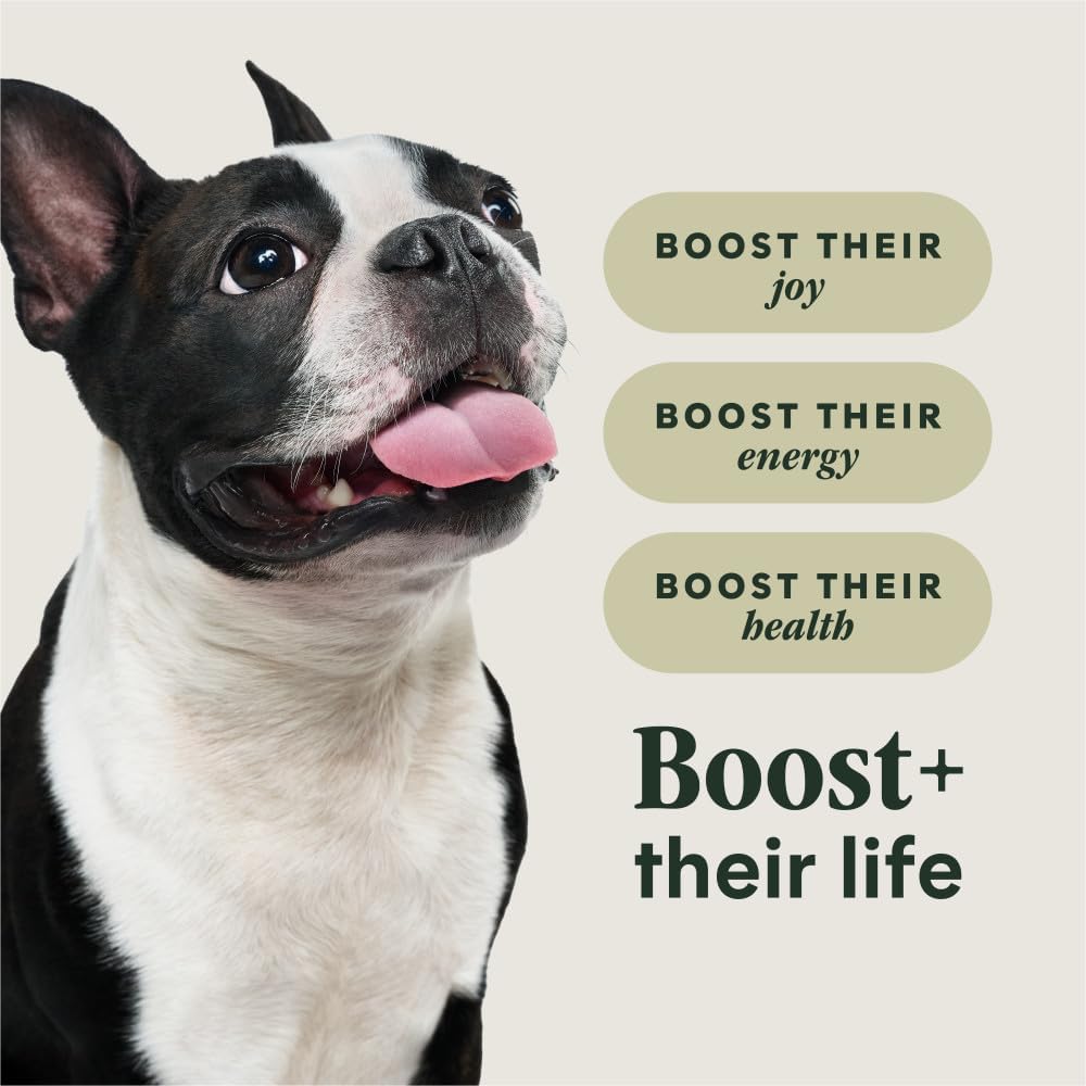 RawBoost Small Breed, Dry Dog Food + Freeze Dried, Beef, 3.5 lb.