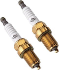 Briggs & Stratton 2 Pack of Genuine OEM Spark Plugs # 696202-2PK