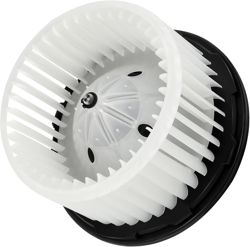 SCITOO HVAC Heater Blower Motor with Fan Cage Front 700164