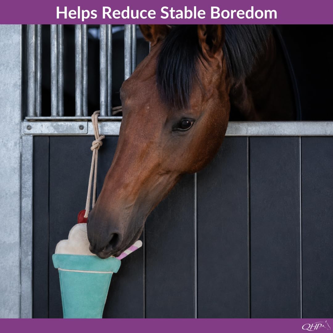 Horse Toy Snackcounter | Horse Stall Toy | Horse Enrichment Toy
