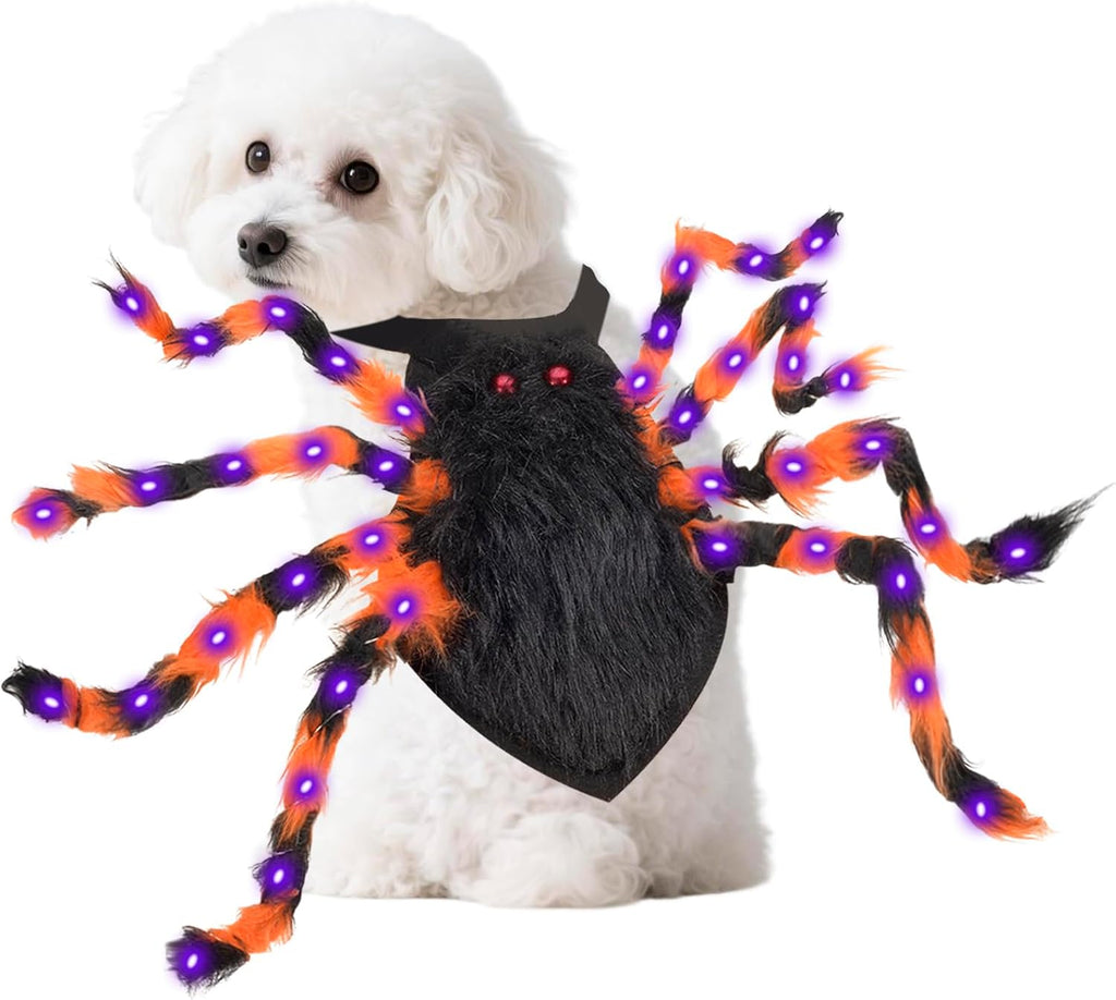 Halloween Spider Costume for Small Dog - Glowing Funny Cats Pet Costumes