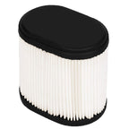 OakTen Replacement Air Filter for Briggs Stratton 790166