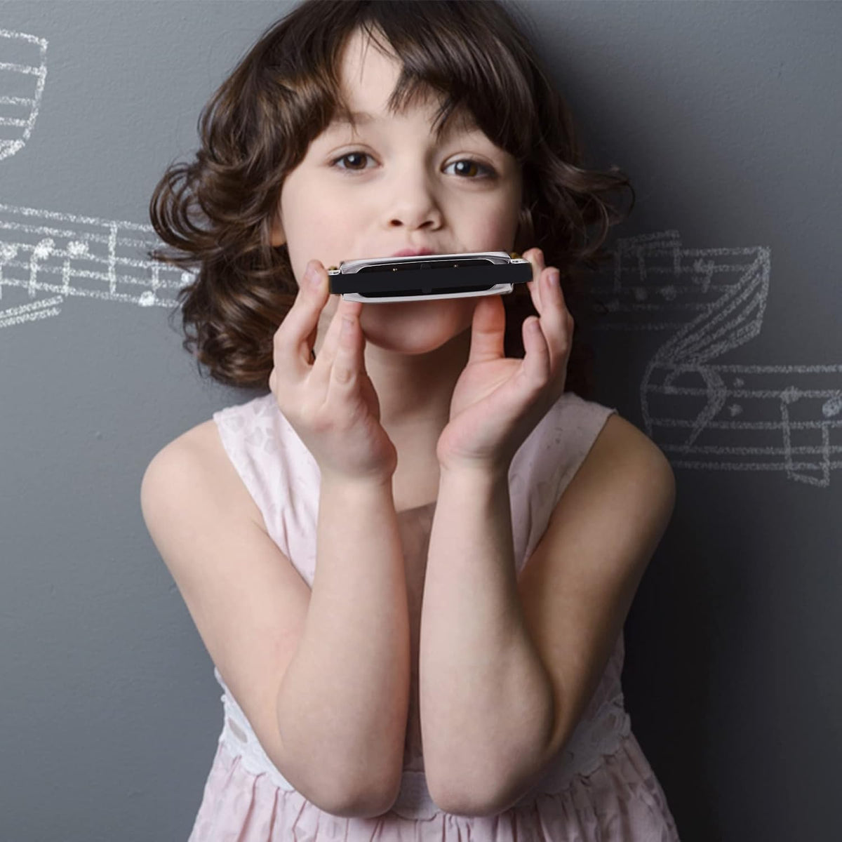 Harmonica for Beginners Key of C, 10 Holes 20 Tones, Stainless Steel Harp Diatonic Blues Harmonica for Adults
