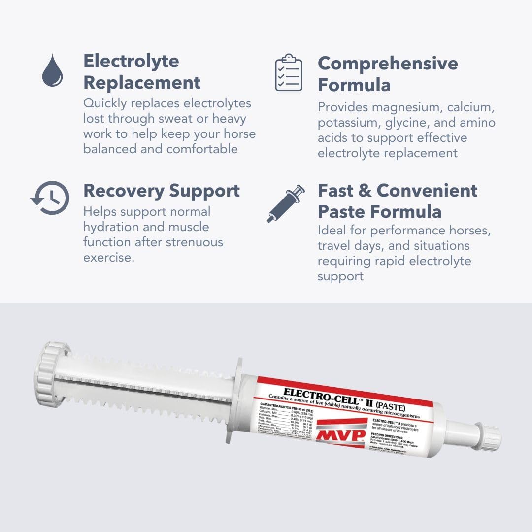 Electro-Cell II Electrolyte Paste with Probiotics for Horses