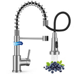 Kitchen Faucet with Pull Down Sprayer, Pot Filler Faucets