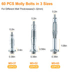 60PCS Molly Bolts Kit, Hollow Wall Anchor Assortment for Drywall