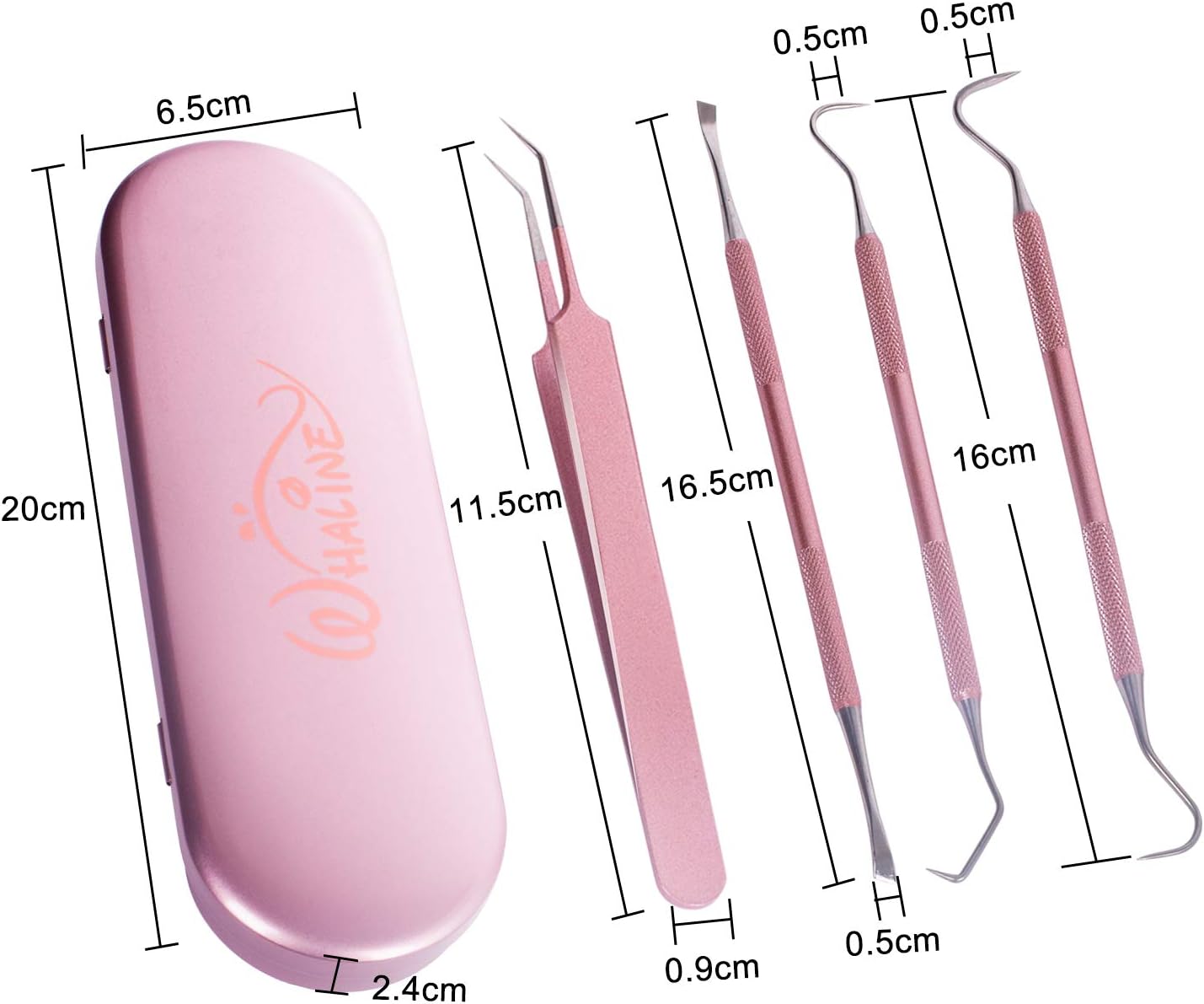 Vinyl Weeding Tools Set of 4, Precision Stainless Steel Weeder Kit with Case, Includes Scraper, Hook, Spatula