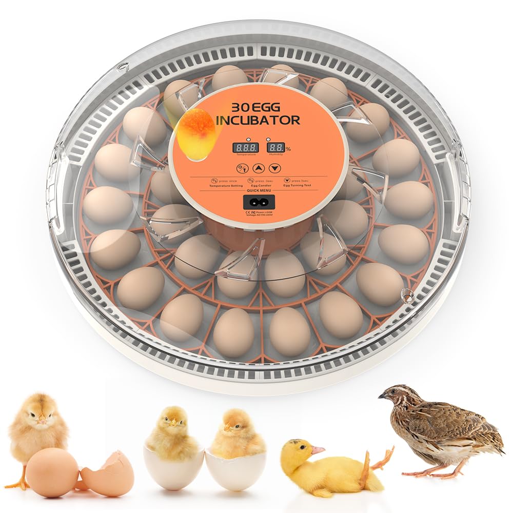 30 Egg Incubator with Automatic Egg Turning, Temperature Control and Humidity Monitor Incubators for Hatching Eggs
