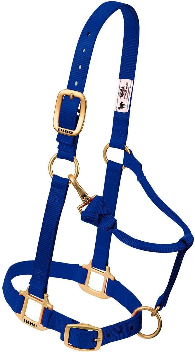 Weaver Leather Original Adjustable Nylon Horse Halter, Average Horse, Navy