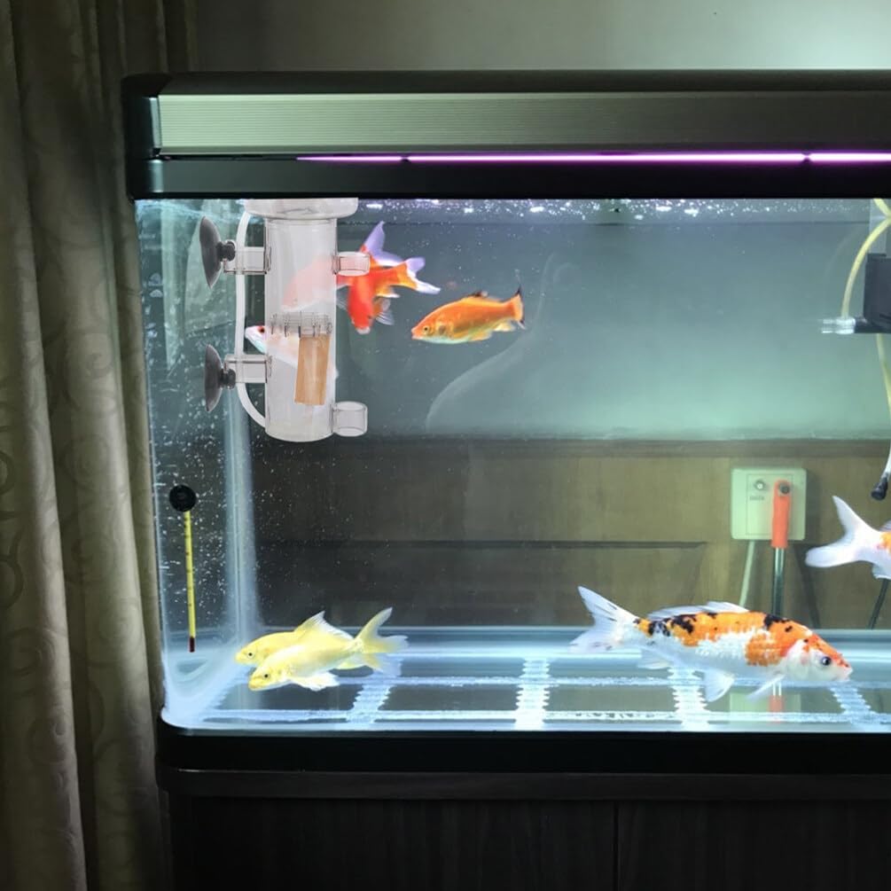 2 Gallon Fish Tank 4 Pcs Protein Skimmer OUL Diffuser Aquarium Decorations Fish Tank Bubble Diffuser Practical Stone