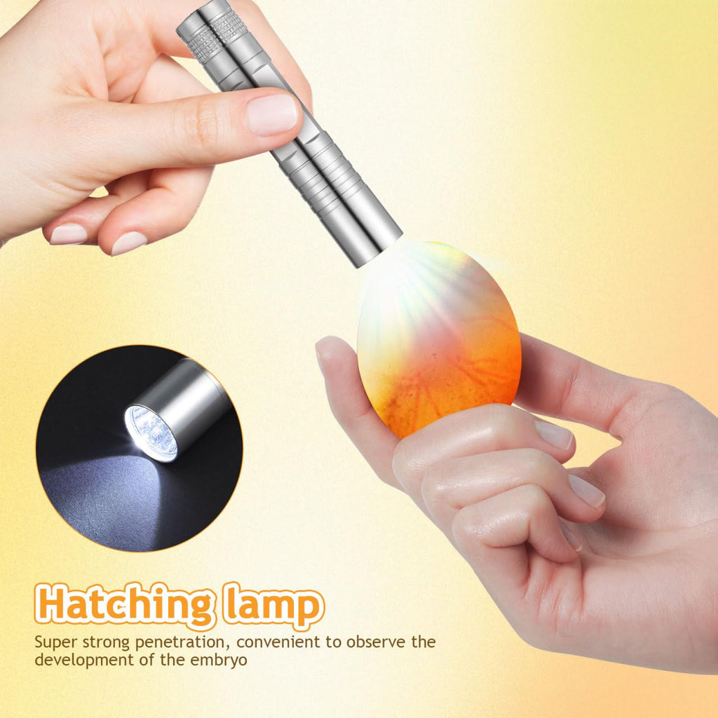 Portable Egg Incubator, Constant Temperature Bird Brooder & Recovery with 360° Clear View Cover, Temperature Control