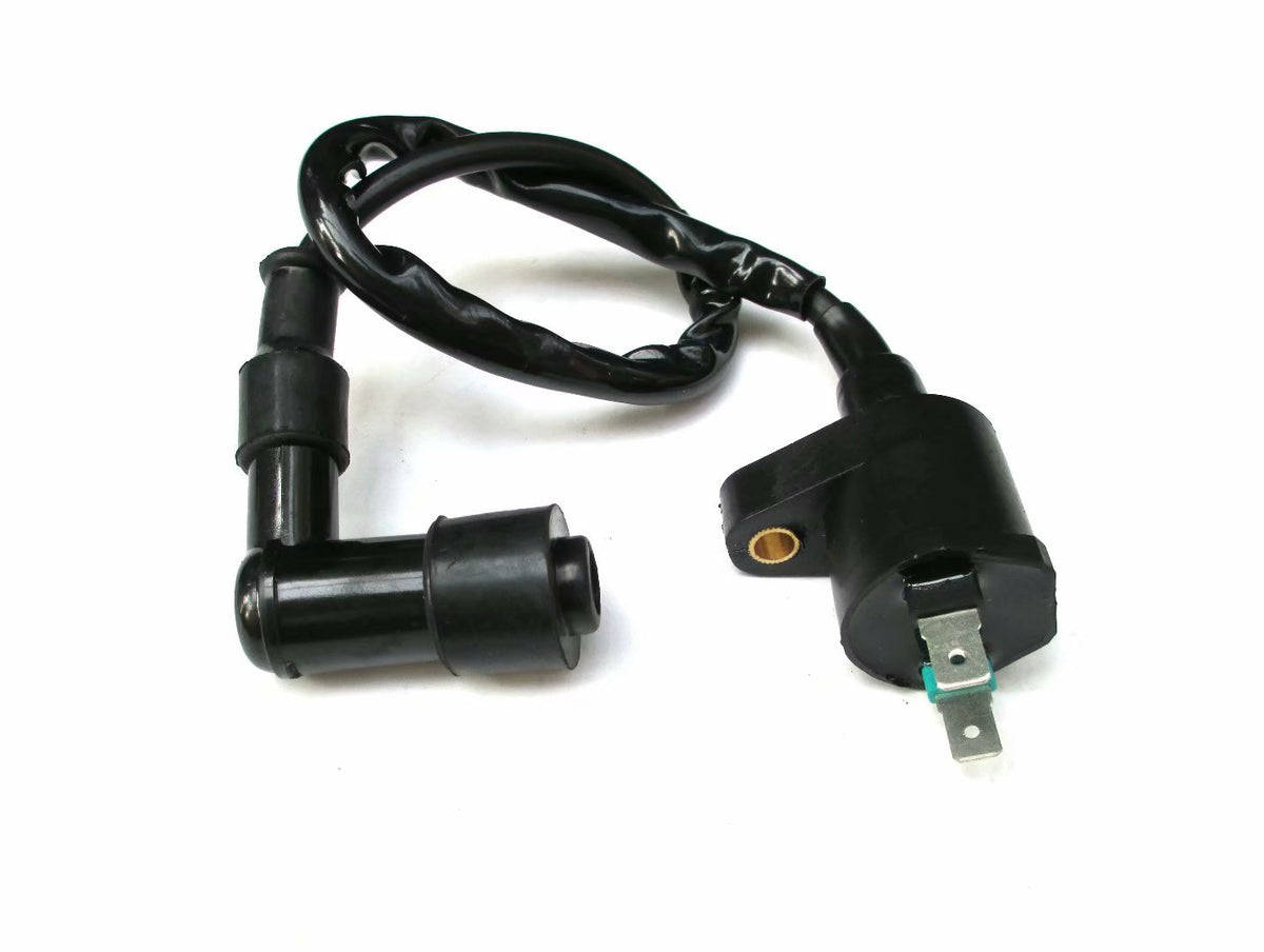 Ignition Coil For Kawasaki KLX 110 2002 2003 2004 2005 2006 2007 2008 2009 2010 2011