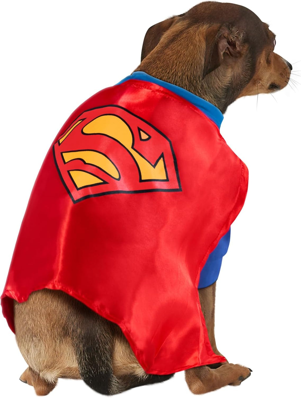 DC Comics Superheroes: Superman Pet Costume for For Dogs or Cats by Rubies, Small