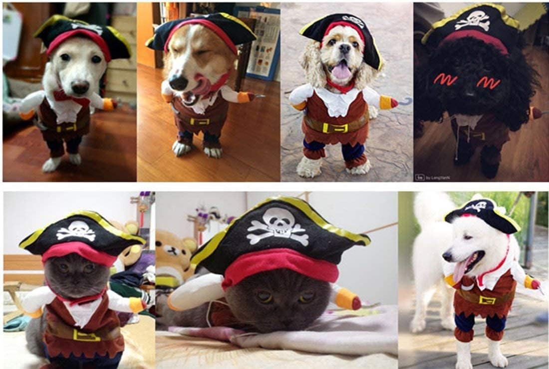 Funny Pet Clothes Pirate Dog Cat Costume Party Apparel | halloween pet suit,corsair dressing up,cat apparel,clothing