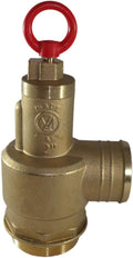 Brass Pressure Relief Valve, 300 CFM, 2" Diameter, Fully Adjustable, Non-Code (1050-0000 MZ)