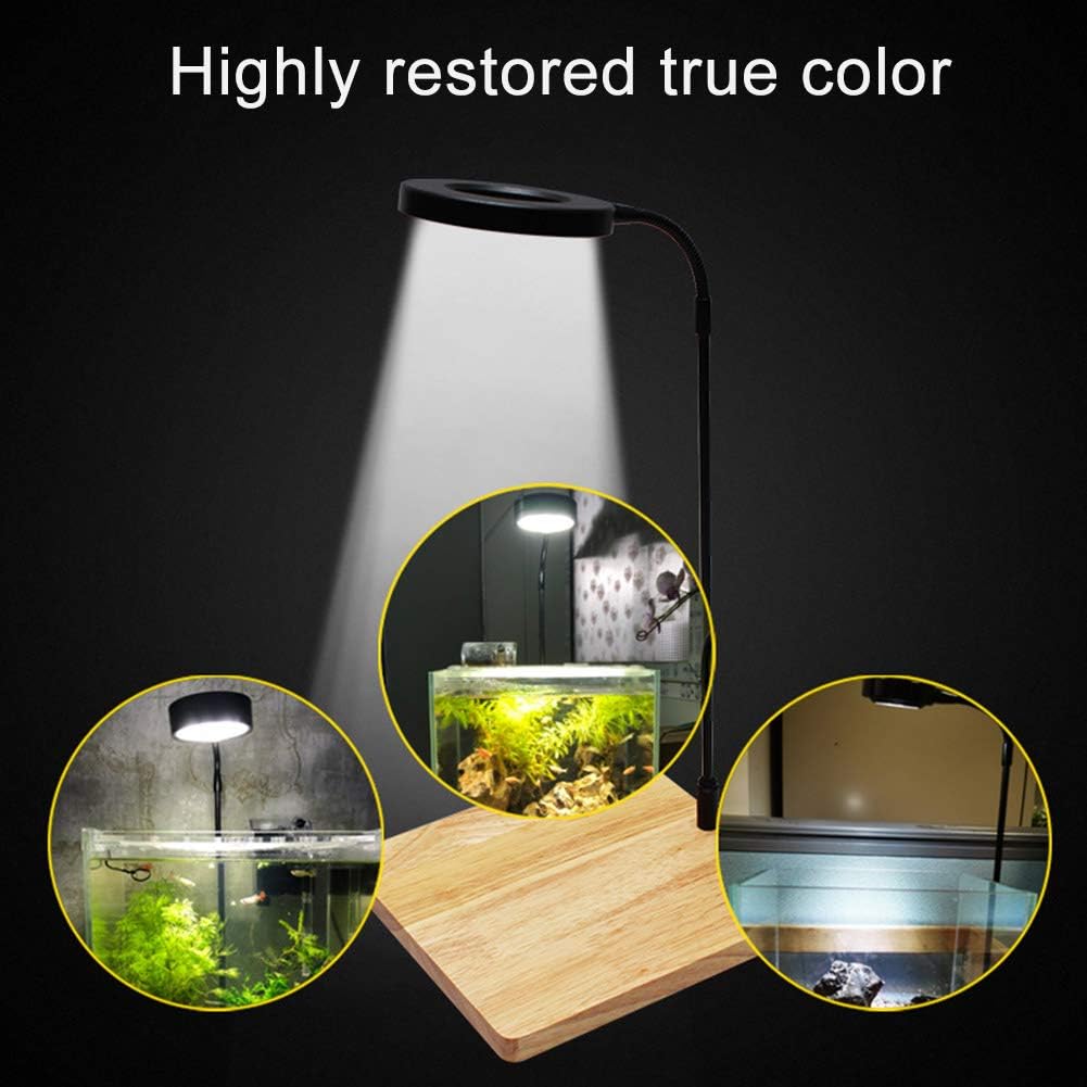 Full Spectrum LED Aquarium Light, USB Powered Lamp for Fish Tank 10w