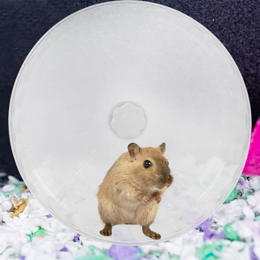 Silent Hamster Running Wheel Large 12-Inch Exercise Wheel for Hamsters Chinchillas Gerbils Sturdy Crystal Design Dual