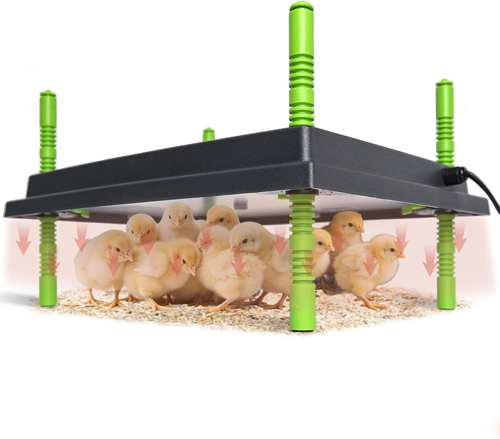 12" x 16" Chick Brooder Heater Plate for 40 Baby Chicks Ducks