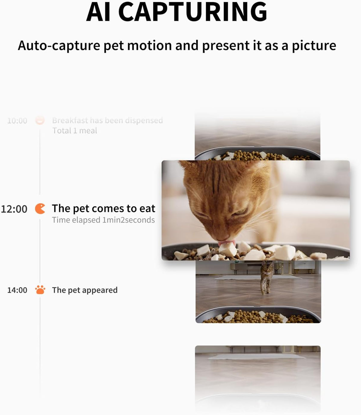 Automatic Cat Dog Feeder with Camera, AI-Powered Motion Capturing, 1080P HD Video with Night Vision, 2.4G WiFi Pet