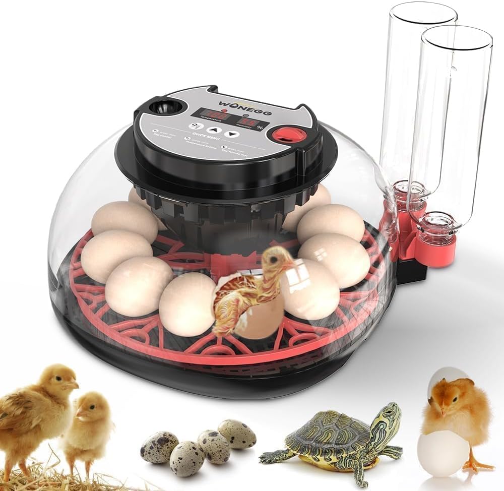Nest II - 12 Egg Incubator for Beginners, Multi-Level Adaptive Humidity (Auto-Refill & Dual-Bottle) & Stable Temp