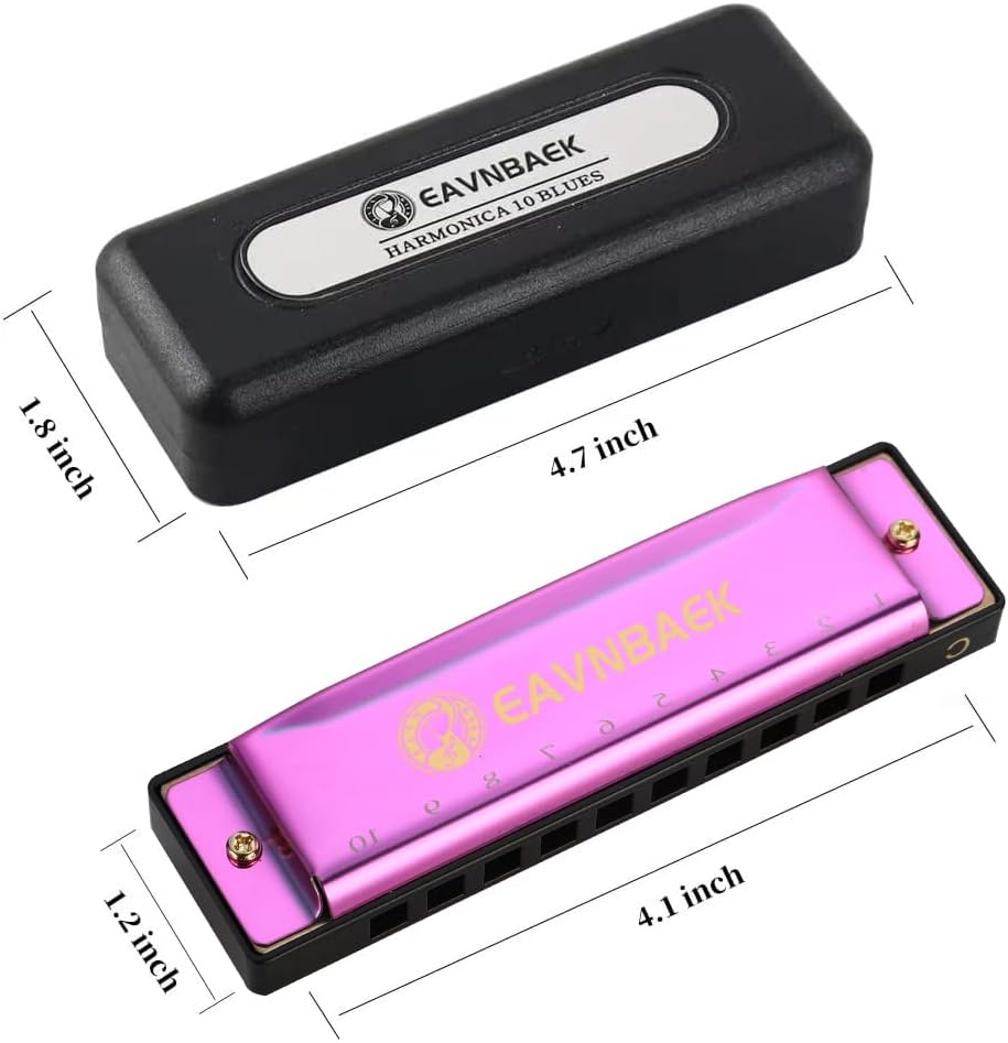 10 Holes 20 Tunes Blues Harmonica C Key Purple with Hard Case | Diatonic Harp Mouth Organ Durable Reeds and Metal