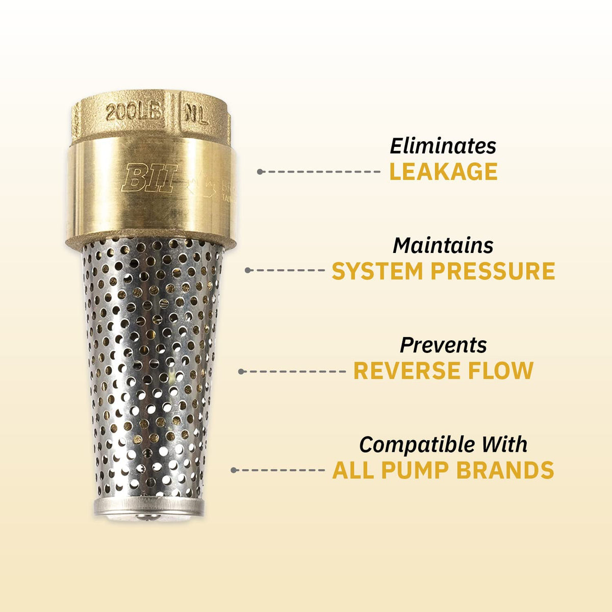 Foot Valve, 1 1/4" Female connection