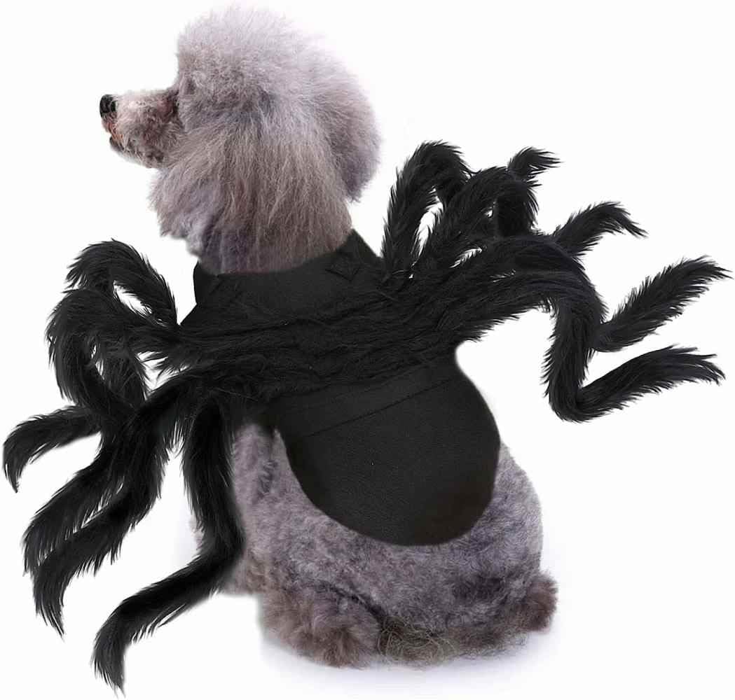 Spider Pet Costume for Halloween Cats & Small Dogs, Black