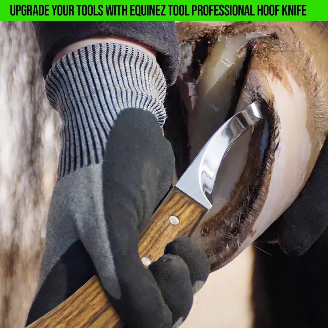 Farrier Hoof Knives Set–Professional Left & Right Handed Hoof Trimming Knives with Razor Sharp Stainless Steel